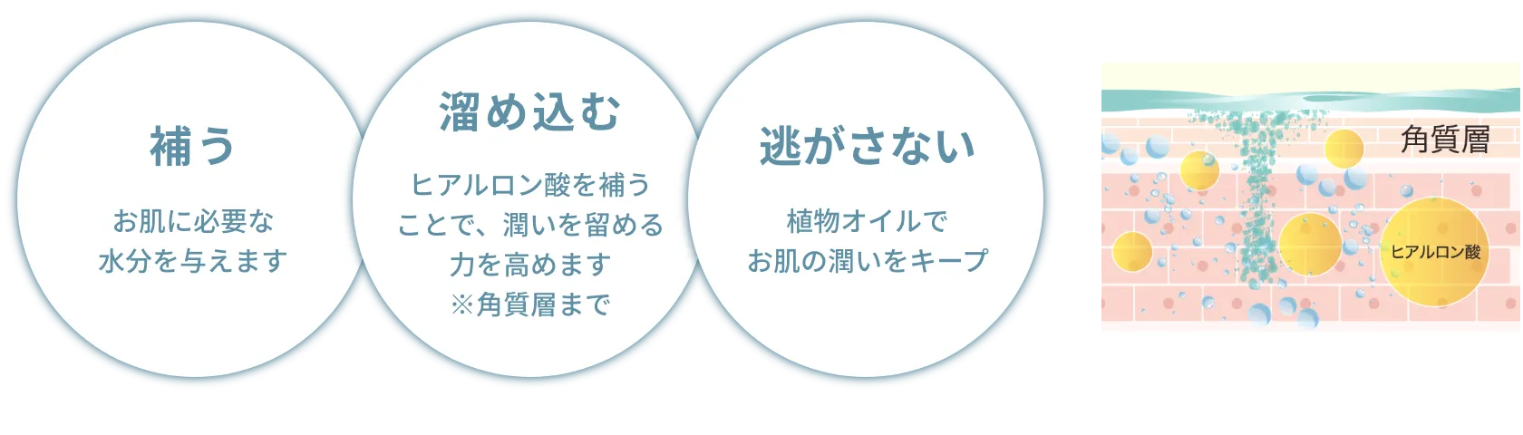 補う・溜め込む・逃がさない