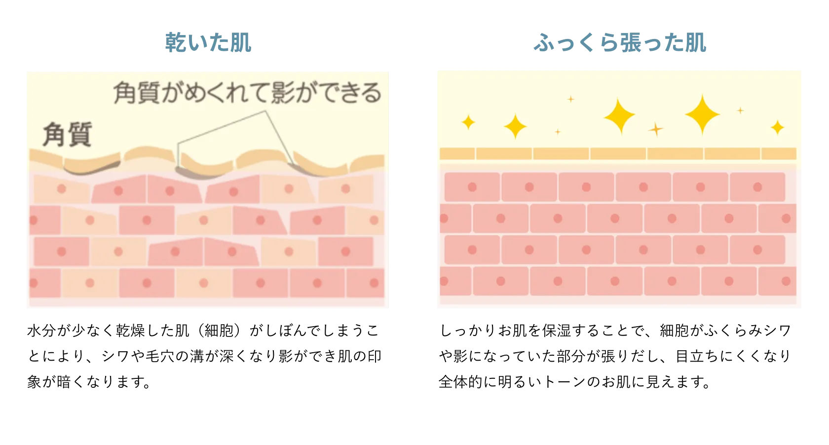 乾いた肌とふっくら張った肌
