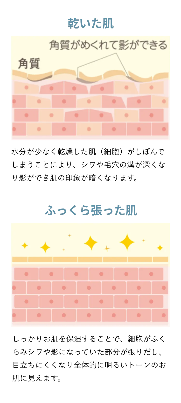 乾いた肌とふっくら張った肌