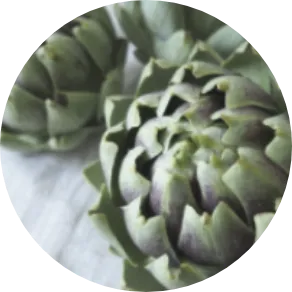 アーチチョーク葉エキス