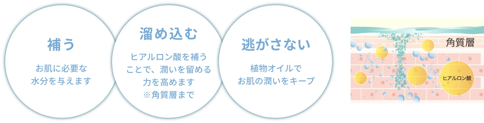 補う・溜め込む・逃がさない