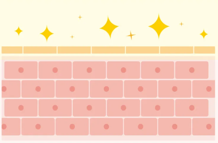 ふっくら張った肌