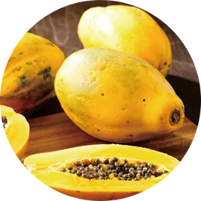 パパイン