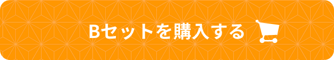 Bセットを購入する