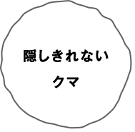 隠しきれないクマ