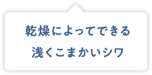 乾燥によってできる浅くこまかいシワ